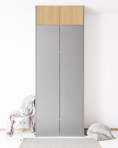 PAX Aufsatzschrank Türen Dendro Pure